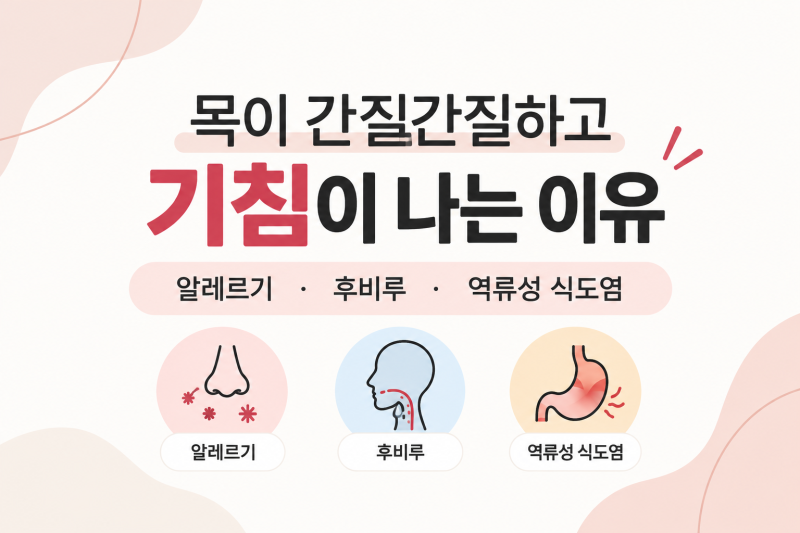목이 간질간질하고 기침이 나는 이유 / 알레르기,후비루,역류성 식도염