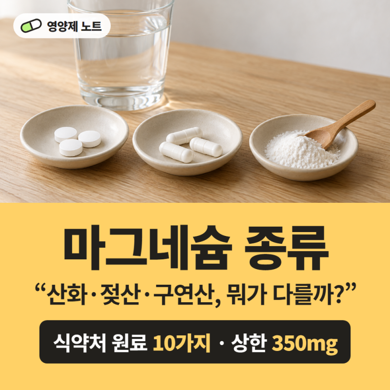 마그네슘 종류별 차이, 산화·젖산·구연산 뭐가 다를까? 식약처 원료 10가지 정리