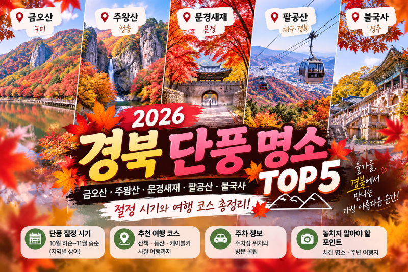 2026 경북 단풍 명소 TOP 5 금오산·주왕산·문경새재·팔공산·불국사 절정 시기와 여행 코스