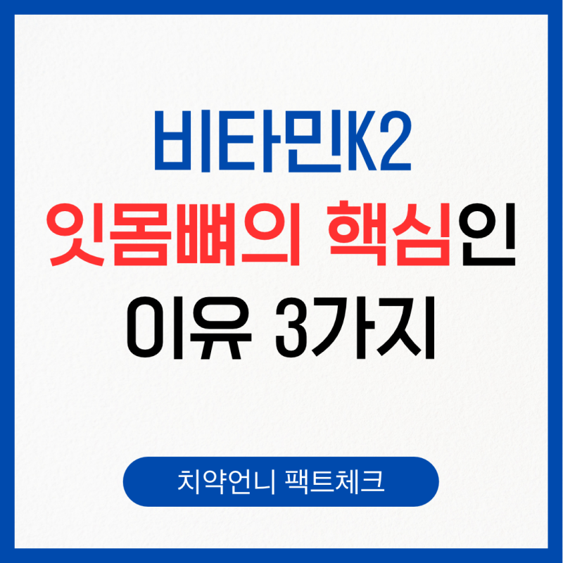 비타민K2, 잇몸뼈의 핵심인 이유 3가지