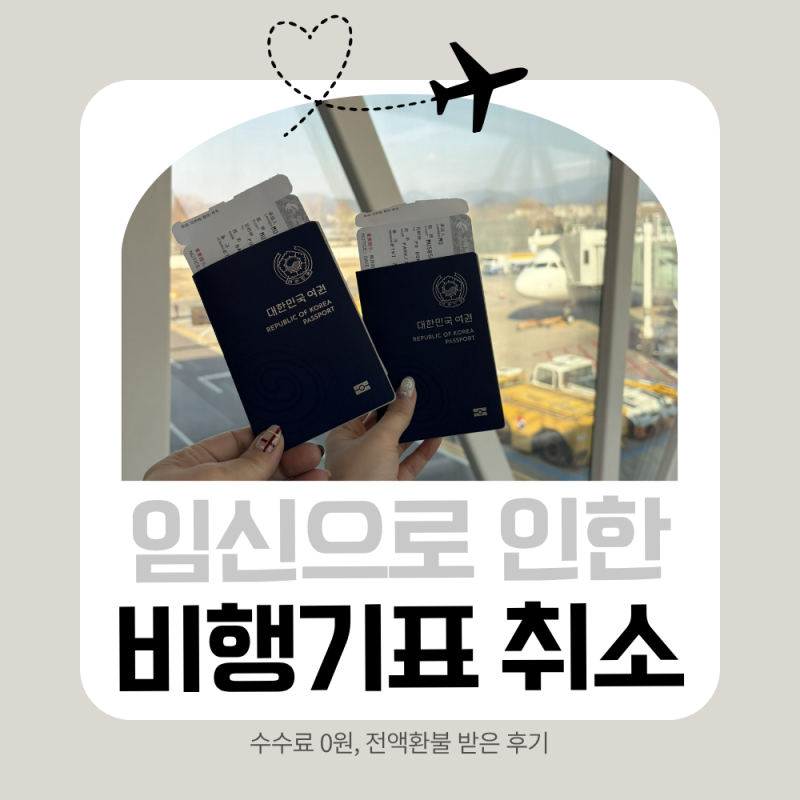 임산부 비행기표 취소, 수수료 0원 중국동방항공 전액환불 받은 후기✈️