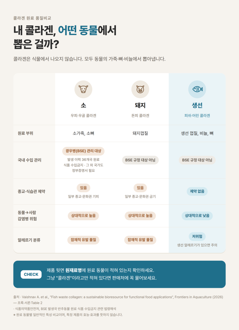 콜라겐을 매일 챙겨 먹어야하는 진짜 이유.