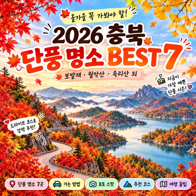 2026 충북 단풍 명소 BEST 7｜단양 보발재·월악산·속리산 등 절정시기 정리