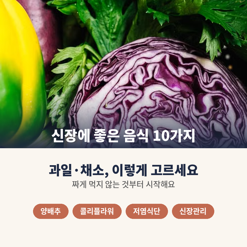 신장에 좋은 음식 10가지, 과일과 채소는 뭘 골라야 할까?