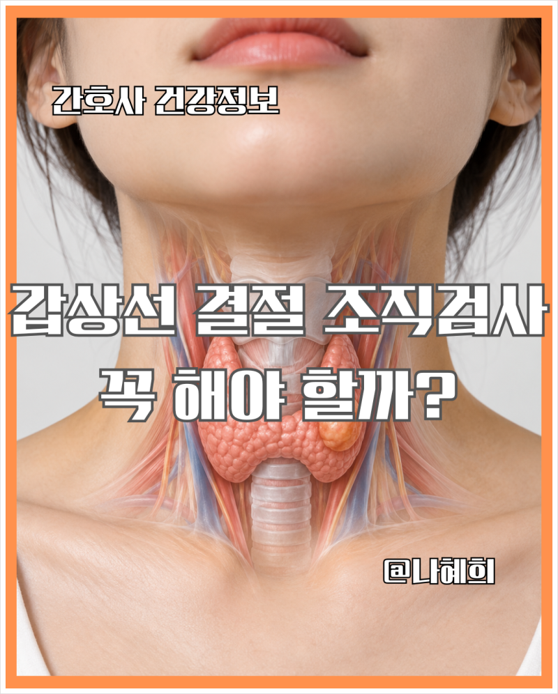 갑상선 결절 FNA 검사란? 세침흡인검사 방법·통증·결과 총정리