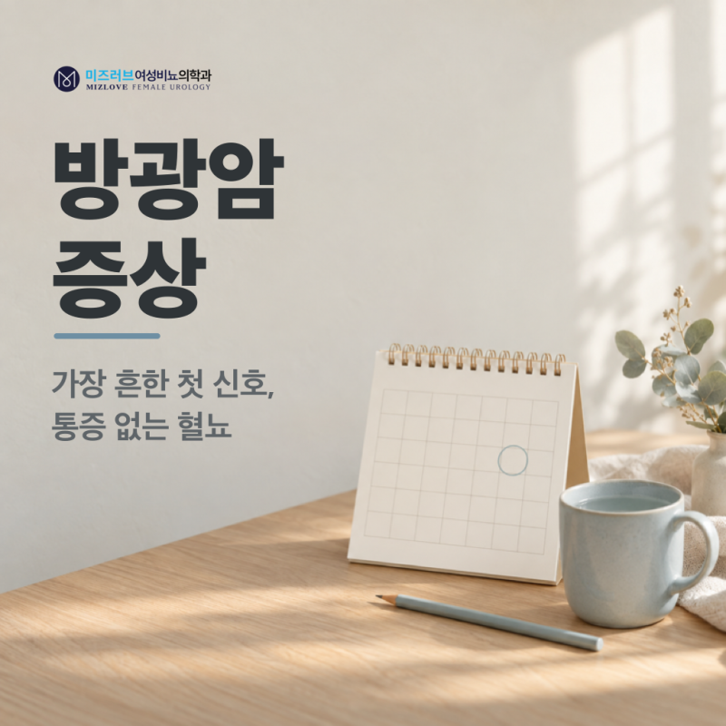 방광암 증상 가운데 가장 흔한 통증 없는 혈뇨, 여자 방광암 초기증상과 검사 순서.