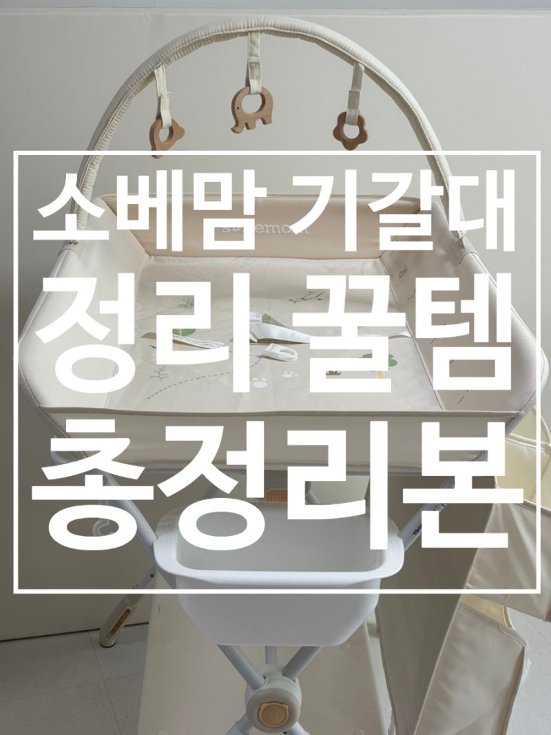 소베맘 기갈대 정리템 총정리 추천/ 비추천 내돈내산 솔직후기