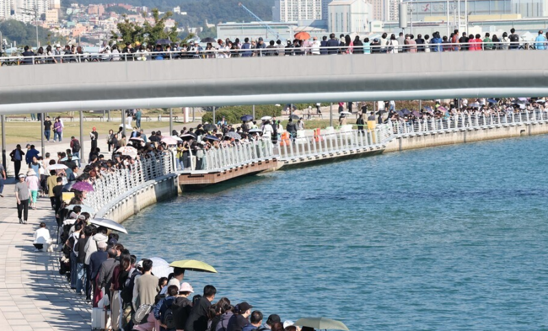 부산 상어 출몰 원인과 바다로 못 돌아가는 이유 정리 (부산 북항 친수공원)