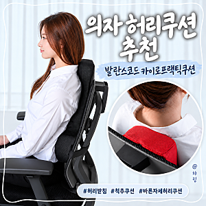 의자 허리쿠션 추천 발란스코드 카이로프랙틱쿠션, 바른자세 등받이쿠션