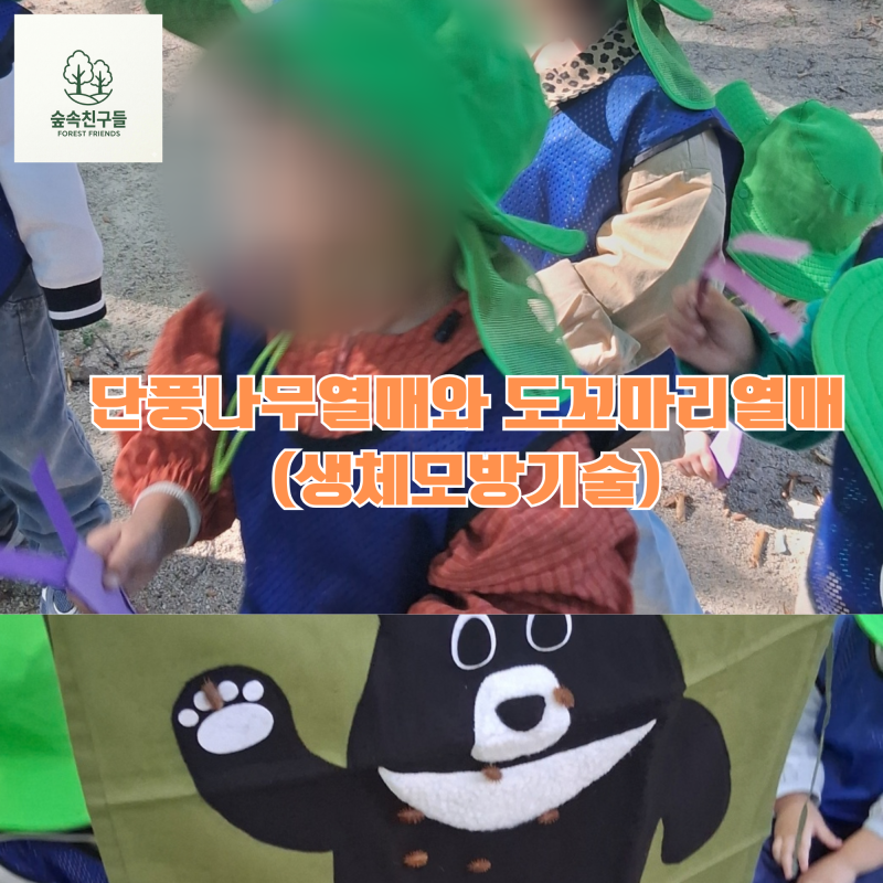 【숲속친구들】단풍나무와 도꼬마리열매(생체모방기술)