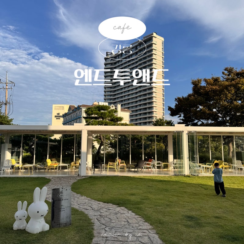 강릉 대형 카페 엔드투앤드 강문해변 근처 애견동반 여행코스 가볼만한곳