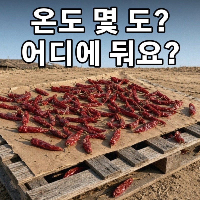 고추 말리는 법, 건조기 온도·햇볕 건조·벌레 먹은 고추 고르기·고춧가루 보관