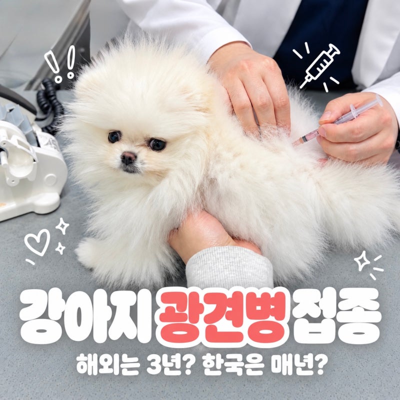 강아지 광견병 예방접종 시기, 해외는 3년인데 한국은 왜 매년일까?