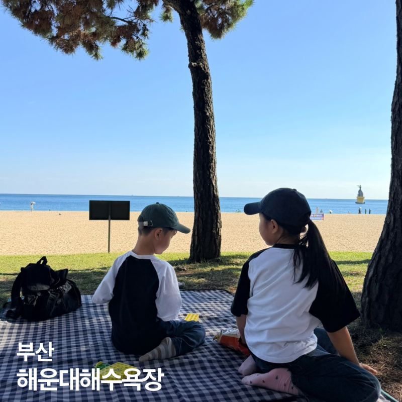 해운대해수욕장 피크닉, 산책하려다 돗자리부터 펼쳤어요!