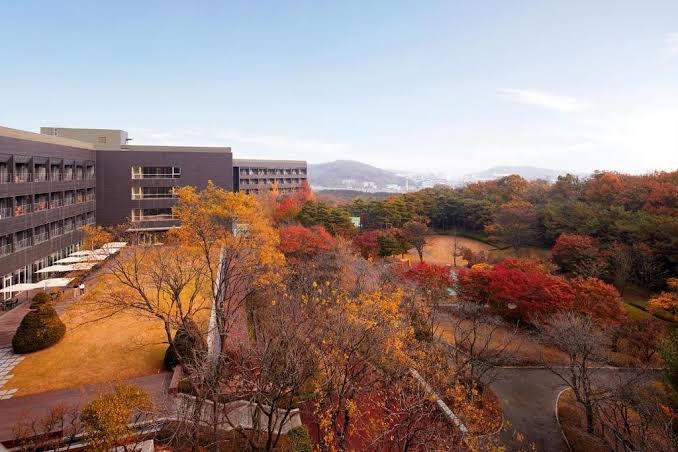 [화성 롤링힐스 호텔] 가을 연휴 호캉스 추천! 실내 수영장, 조식 뷔페, 이용 꿀팁 총정리