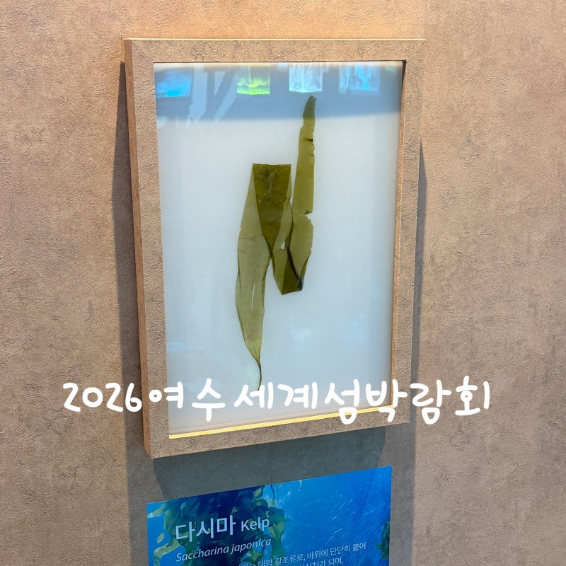 여수 아이와가볼만한곳 2026여수세계섬박람회 솔직후기 소문만큼 최악은 아닌듯
