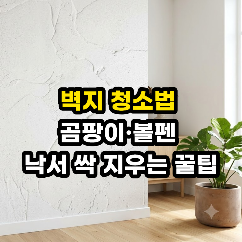 벽지 얼룩 제거 & 실크벽지 청소! 거실 벽지 손때 볼펜 곰팡이 제거 꿀팁