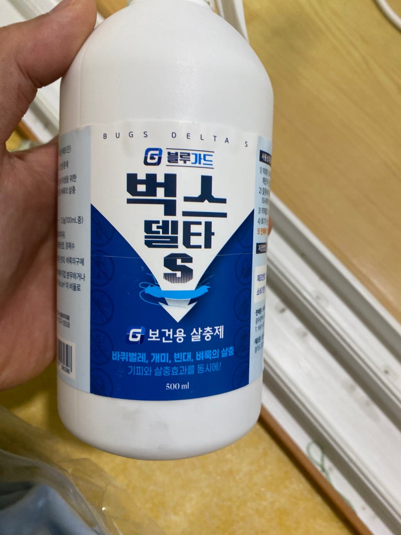 날개미 퇴치 원룸에서 혼자 처리한 방법