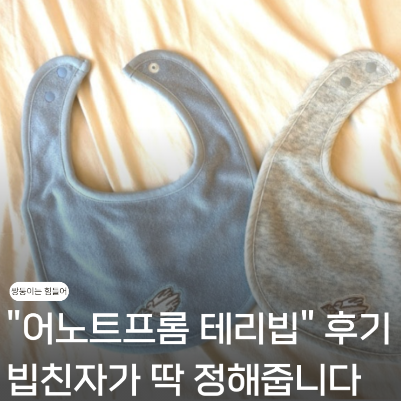 "빕친자가 딱 정한다" 어노트프롬 테리빕 색상 리뷰 및 추천