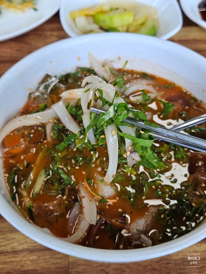 제주 한경면 맛집 제주어부횟집 한치물회 후기