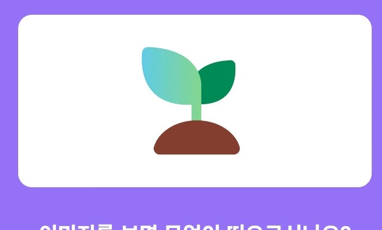 10월8일 카카오뱅크 AI 이모지 퀴즈 정답