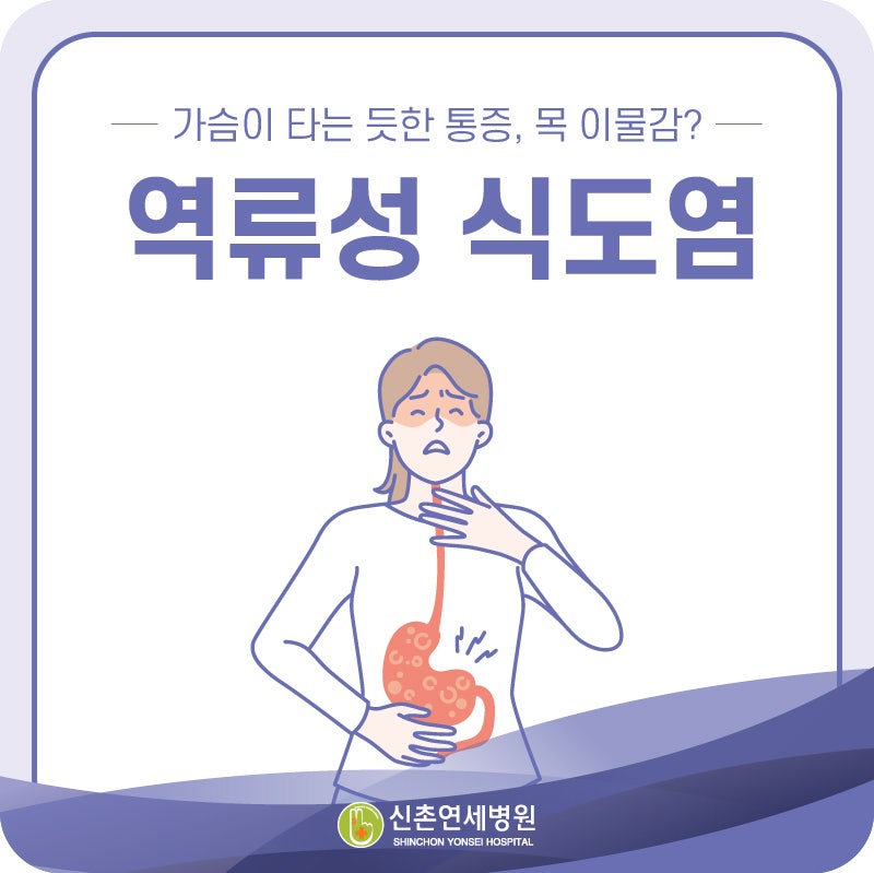 가슴이 타는 듯한 통증, 목 이물감? 그냥 넘기지 마세요. 마포 역류성 식도염 증상 및 예방 가....