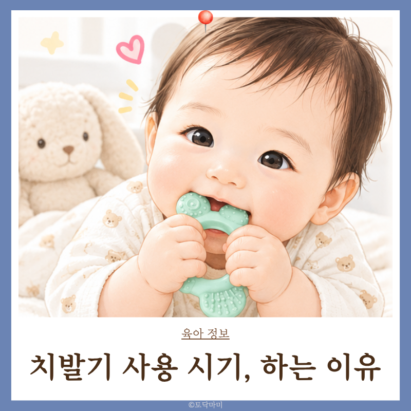 아기 치발기 사용시기 언제부터 언제까지? 치발기 뜻, 하는 이유
