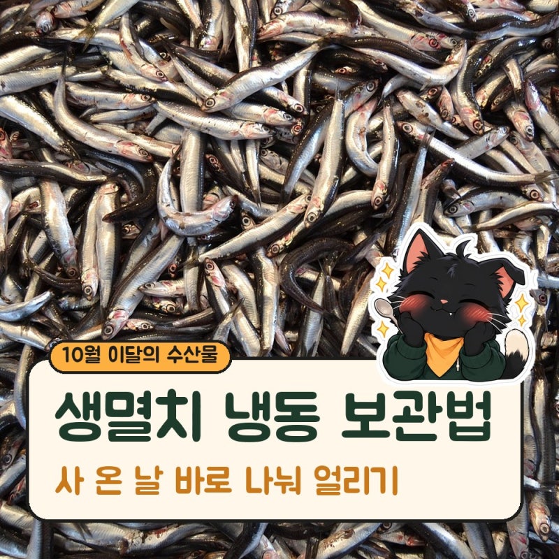 생멸치 냉동 보관법, 사 온 날 나눠 얼리세요