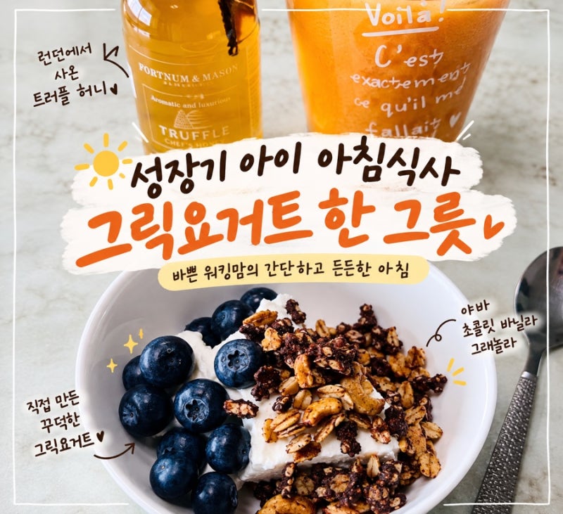 워킹맘 아침식사｜더진한 플레인 요거트로 만든 꾸덕한 그릭요거트