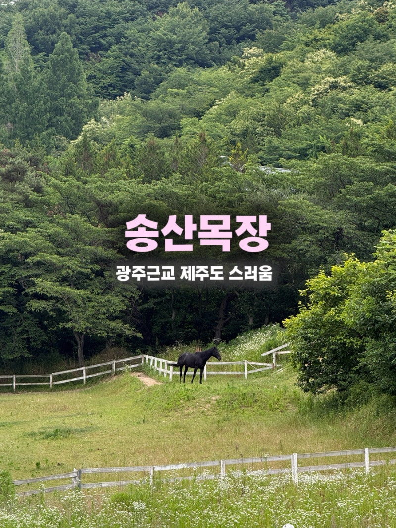 광주근교 아이랑 가볼만한곳 송산목장｜양 먹이주기부터 승마체험까지 주말 반나절 나들이 ....