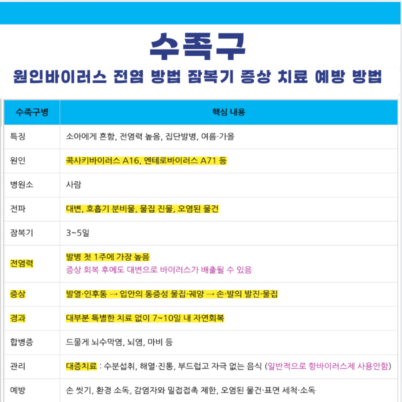 수족구 뜻 원인바이러스 전파 전염 기간 격리 잠복기 증상 치료 예방