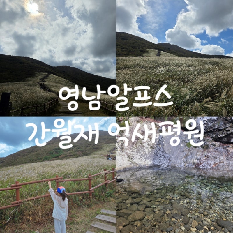 울산 영남알프스 간월재 억새평원 아이와 첫 등산/배내2주차장 주차실패,복합웰컴센터 코스 ....