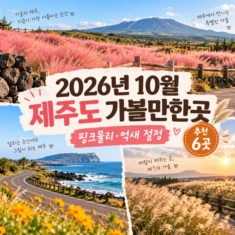 2026년 10월 제주도 가볼만한곳 6곳! 핑크뮬리·억새 절정 시기부터 입장료·추천 코스까지
