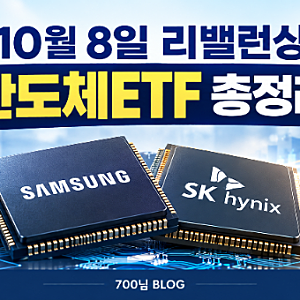 10월 8일 18조 반도체 ETF 리밸런싱 종목 이유 주의점