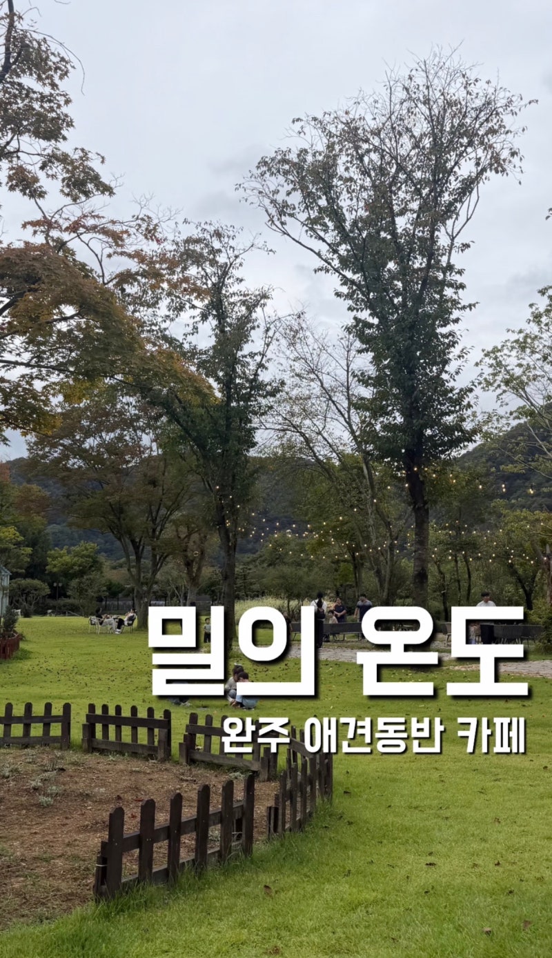 [전주 근교 카페] 완주 카페 추천 애견동반 아이들과 함께 가기 좋은 카페 밀의 온도