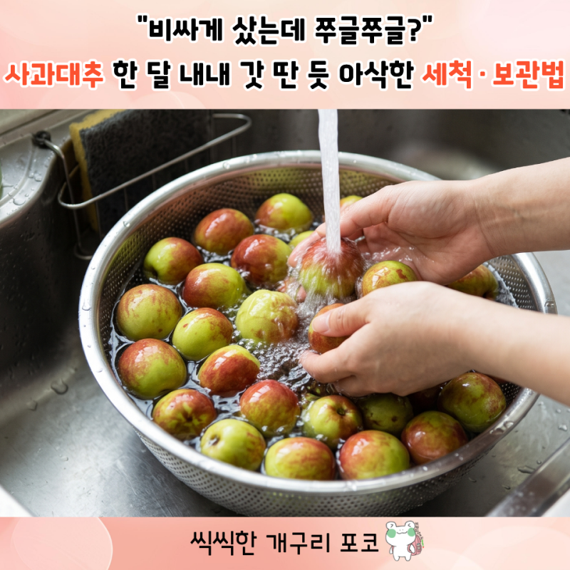 "비싸게 샀는데 쭈글쭈글?" 사과대추 한 달 내내 갓 딴 듯 아삭한 세척·보관법