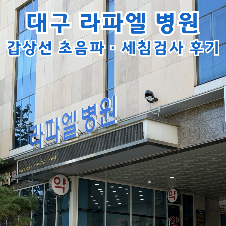 [임신준비 #19] 대구 라파엘 병원 갑상선 초음파, 세침 검사 후기(ft. 예약, 주차, 검사결과)