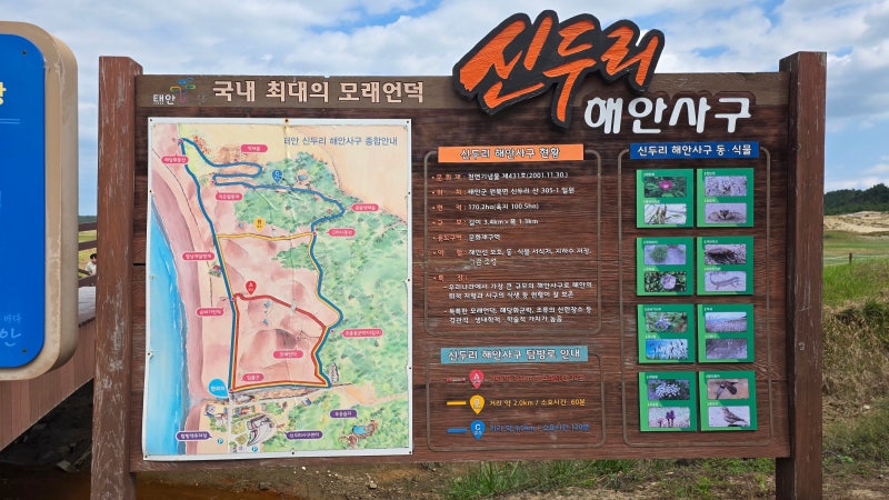 [태안 아이와 가볼만한곳] 신두리 해안사구 & 신두리사구센터! 주차·잠자리채 준비물·유모....