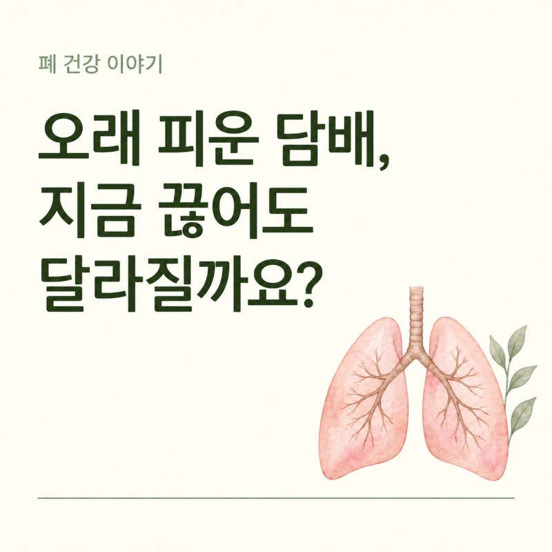 30년 피운 담배, 지금 끊어도 달라질까? 금연이 늦었다고 느낄 때
