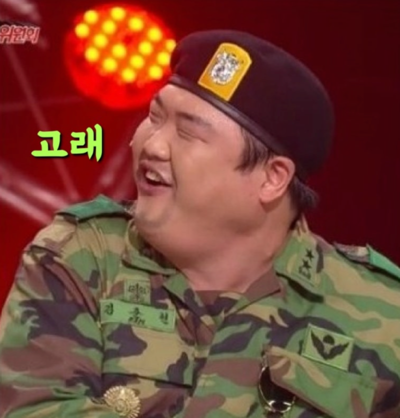다이소 비둘기 퇴치의 한계와 원천 차단 방법