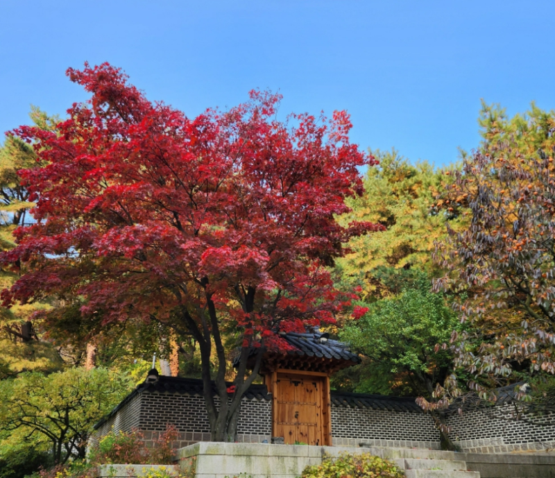 미리 준비하세요! 경기도 단풍 명소 여행지 추천 BEST4