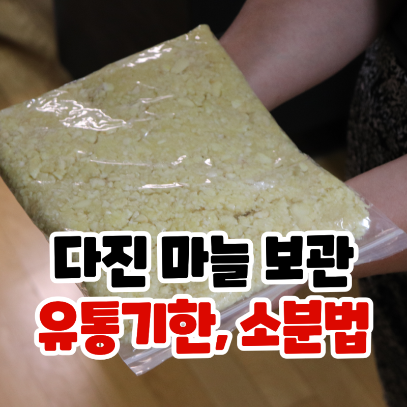 다진 마늘 보관법, 유통기한, 냉장 냉동 보관 기간과 소분하는 방법까지