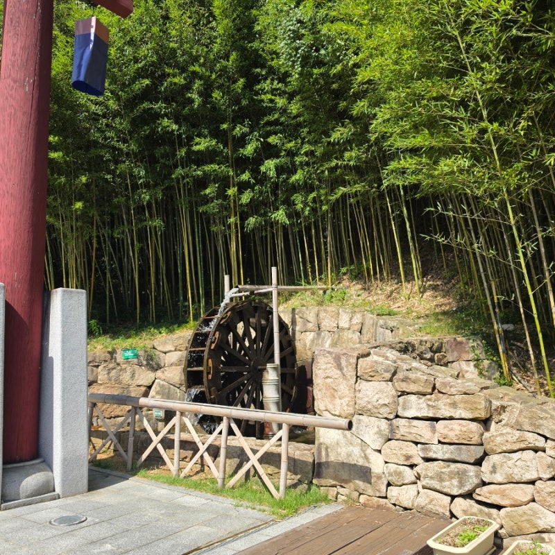 [전남 담양 가볼만한곳] '죽녹원' 정문·후문 코스 & 주차·입장료 총정리