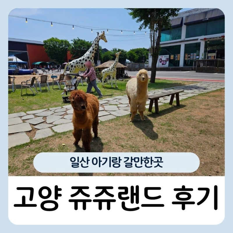 고양 쥬쥬랜드 가격 할인 식당 후기 일산 아이랑 갈만한곳