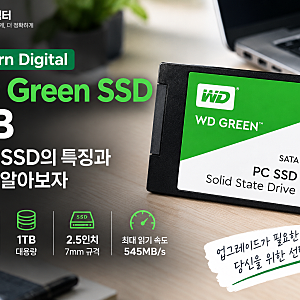 Western Digital WD Green SSD 1TB 분석｜SATA SSD 성능과 특징 알아보기