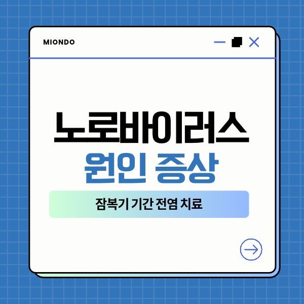 노로바이러스 원인과 초기 증상잠복기 전염 기간 치료 방법까지 총정리