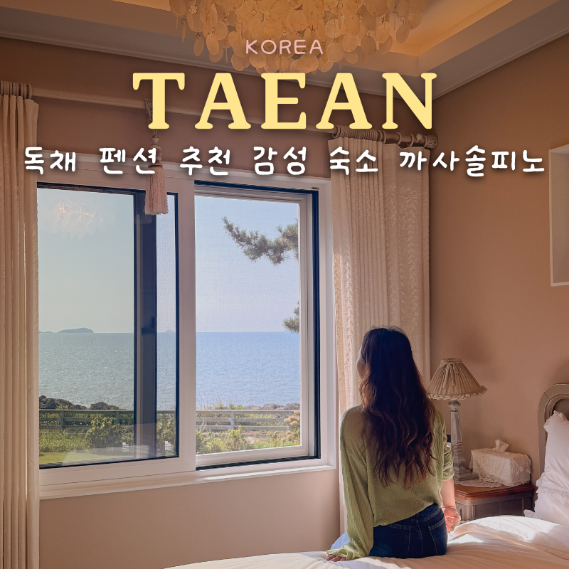 태안 독채 펜션 추천 안면도 여행 감성 숙소 까사솔피노