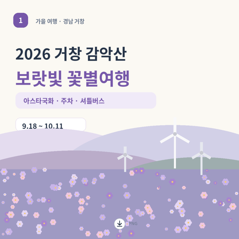 거창 감악산 보랏빛 꽃밭 11일까지 2026 아스타국화 축제 주차 셔틀버스 총정리