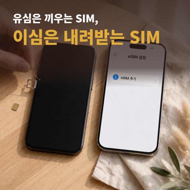 유심과 이심의 차이 해외 이심 뜻 이심 유심 로밍 차이 한 번에 정리