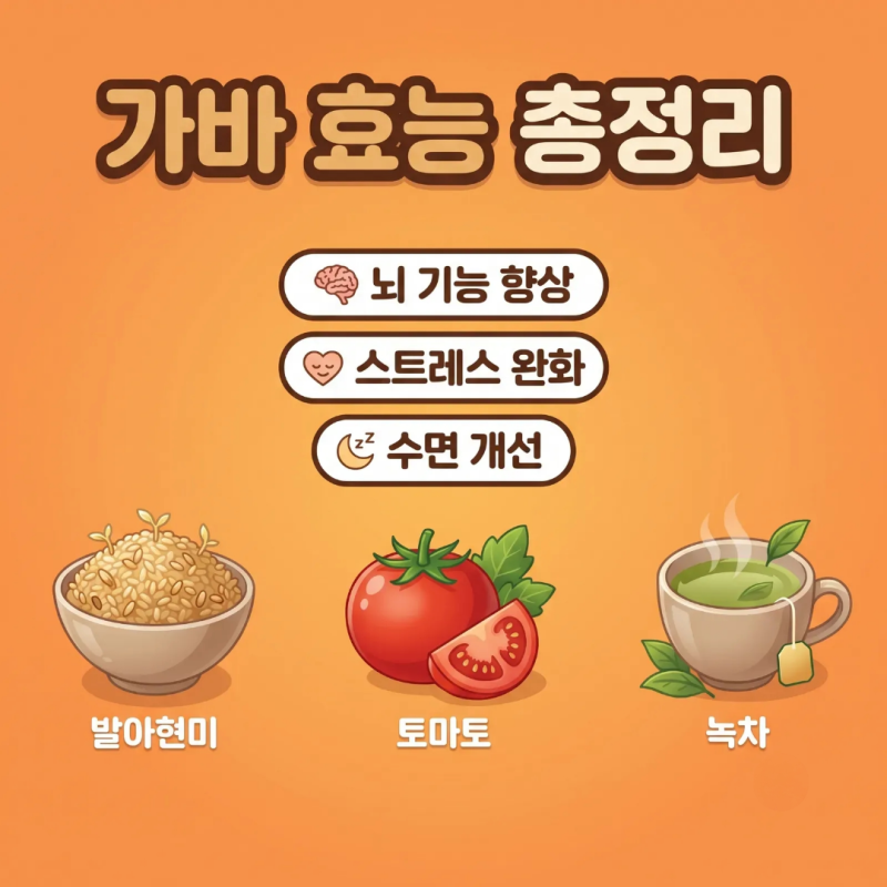 가바(GABA) 효능과 부작용 총정리: 영양제 고르는 법과 테아닌과의 차이점